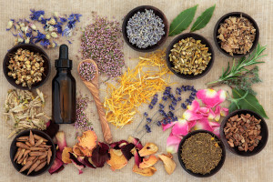 Herbal naturopathic medicine selection also used in pagan witches magical potions over old paper background.